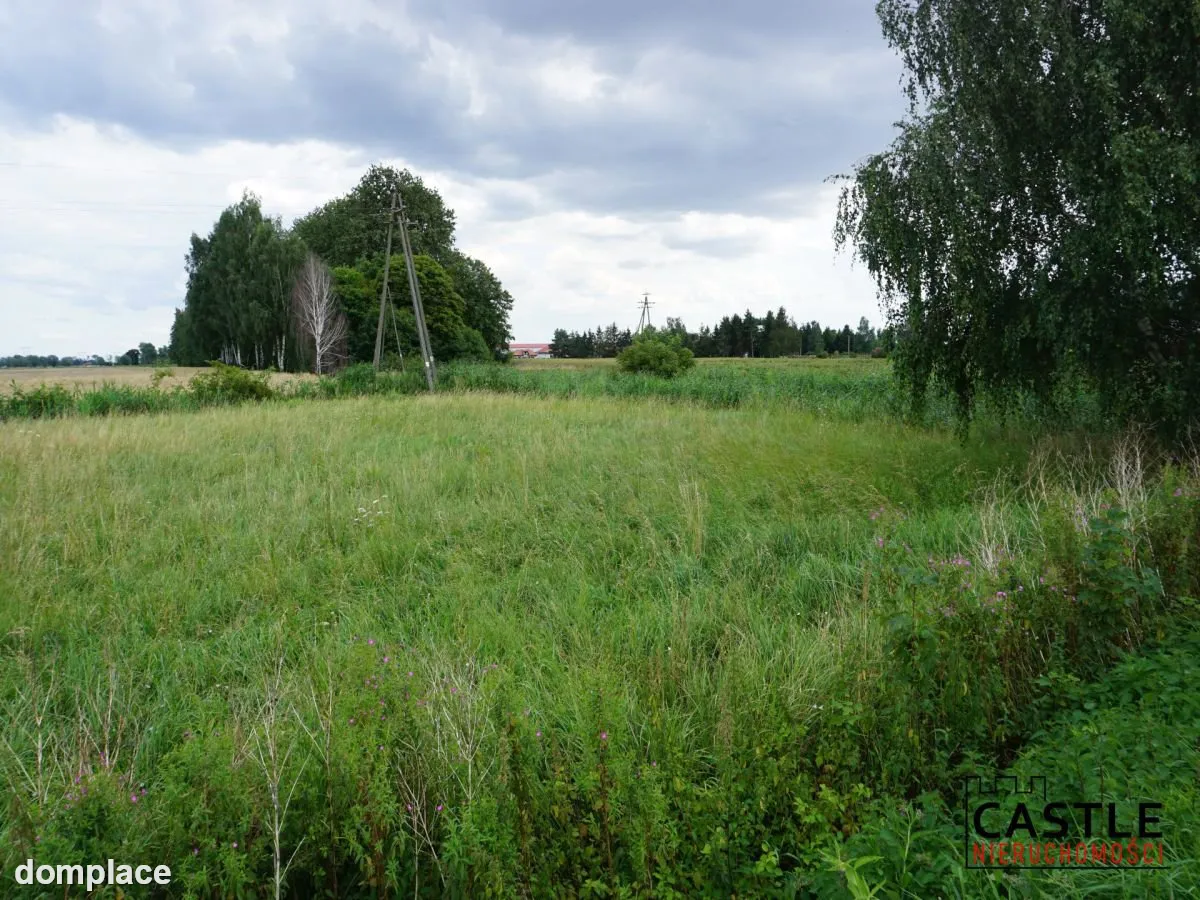 Działka 6303 m² | Bogatka koło Gdańska — zdjęcie 4