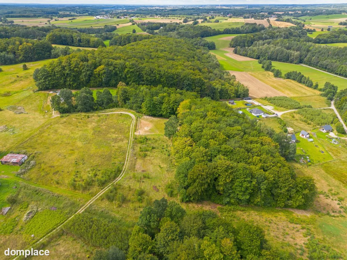 Malownicza okolica i prywatny las. Blisko jezioro — zdjęcie 2