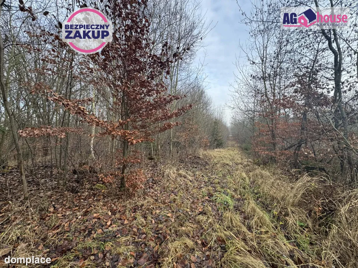 Gdańsk Kokoszki - 2 działki inwestycyjne/budowlane — zdjęcie 2