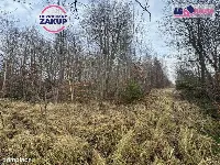 Gdańsk Kokoszki - 2 działki inwestycyjne/budowlane — zdjęcie 3