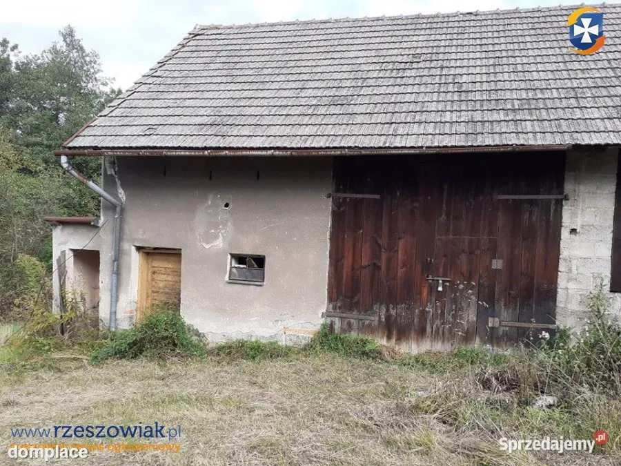 Działka 1 hektar Bieszczady — zdjęcie 3