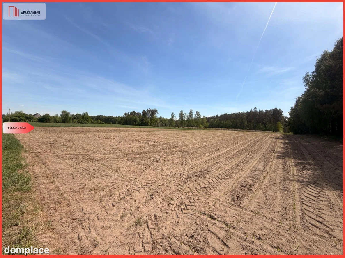 Tylko u nas!4500 m² ciszy i zieleni–Bory Tuchols — zdjęcie 2