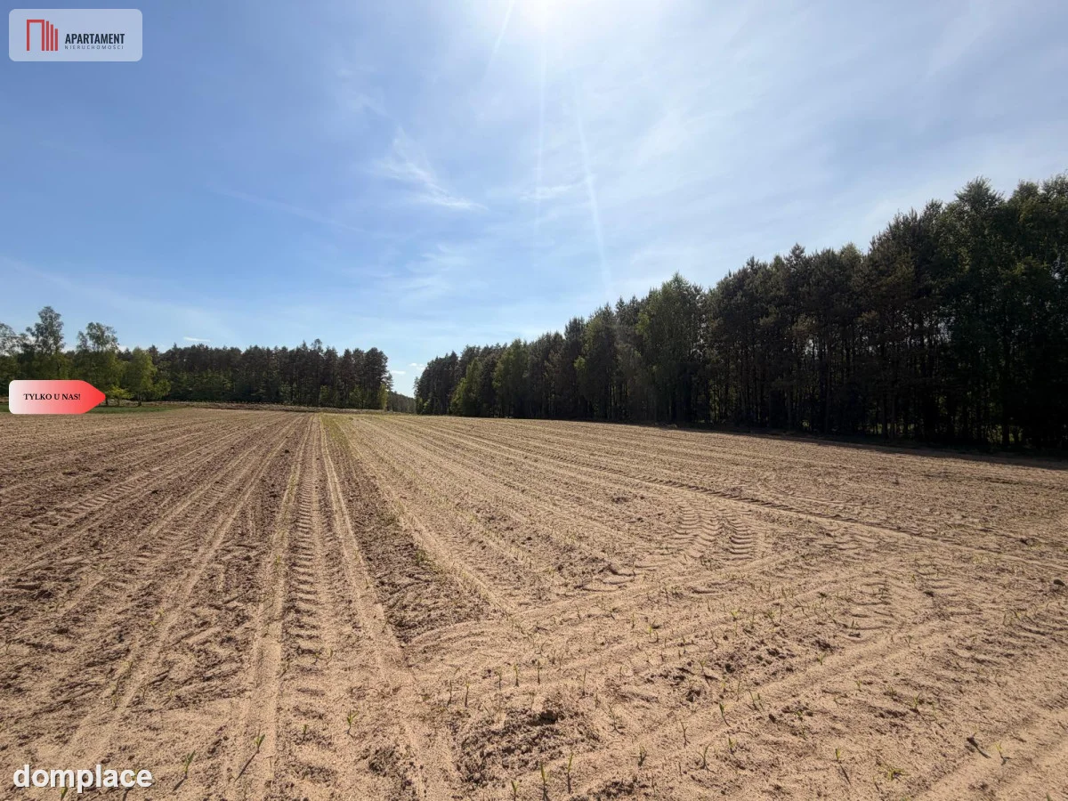 Tylko u nas!4500 m² ciszy i zieleni–Bory Tuchols — zdjęcie 3