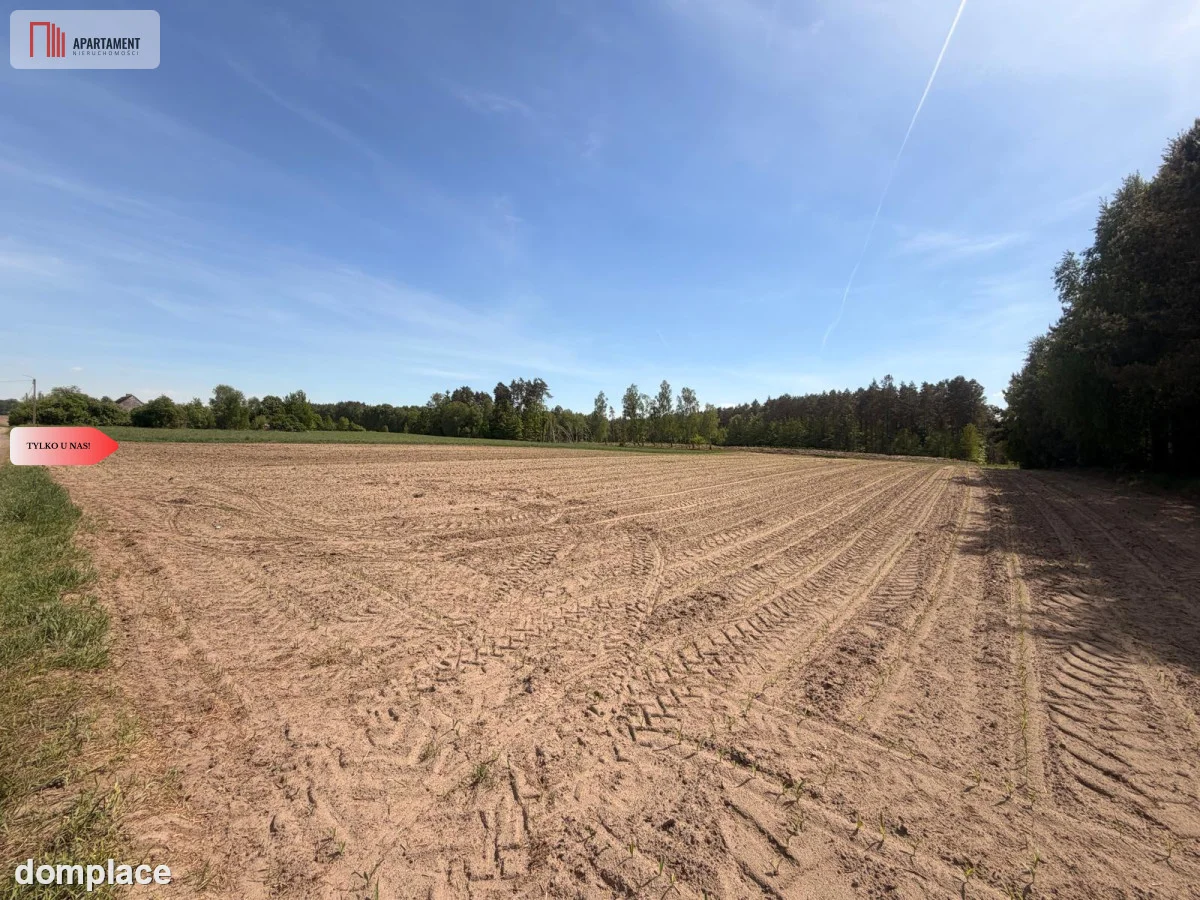 Tylko u nas!4500 m² ciszy i zieleni–Bory Tuchols — zdjęcie 4
