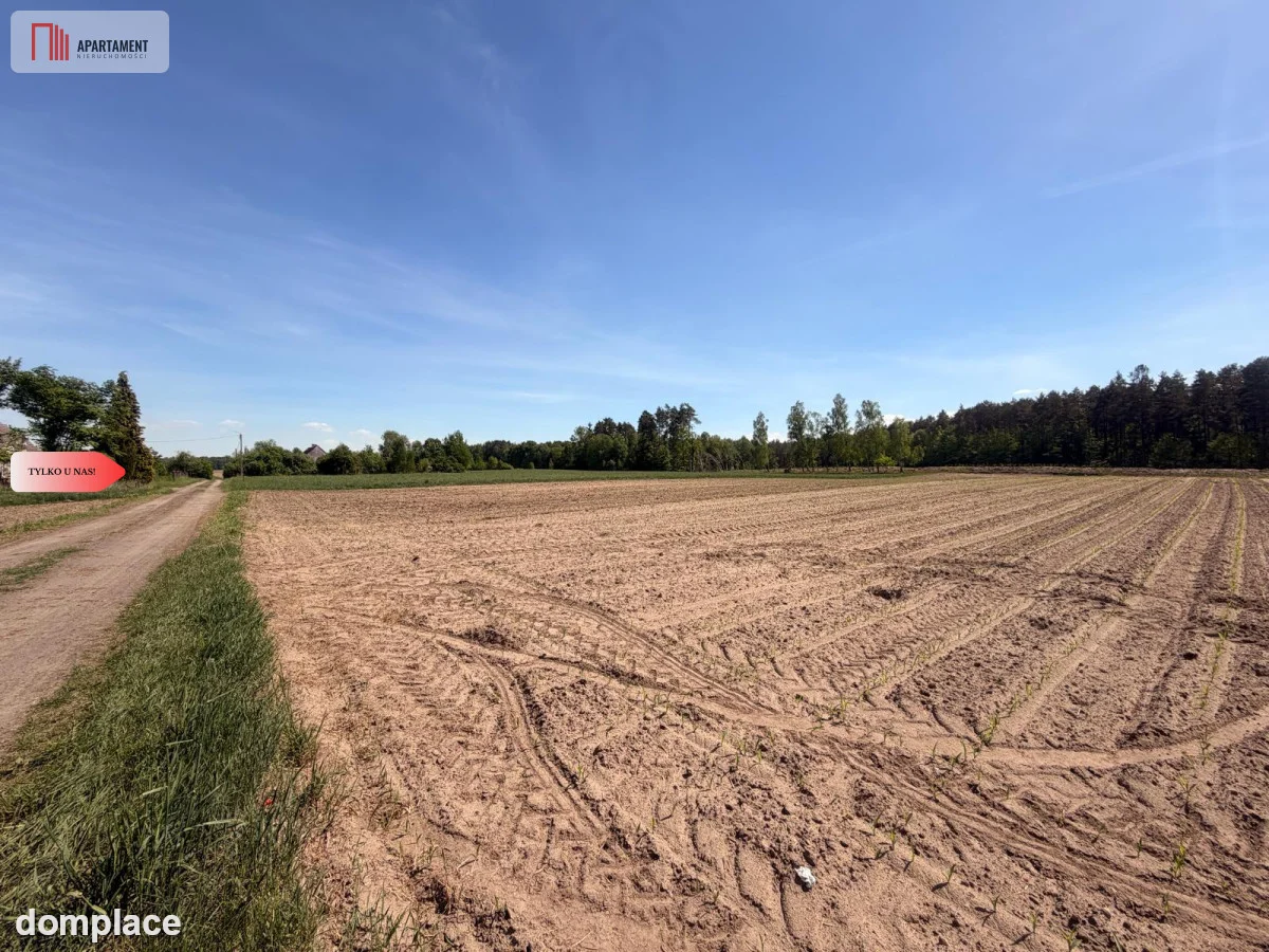 Tylko u nas!4500 m² ciszy i zieleni–Bory Tuchols — zdjęcie 5