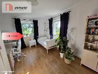 Dom 156m² + Hala/Garaże  160m² | Działka 5800m² — zdjęcie 15