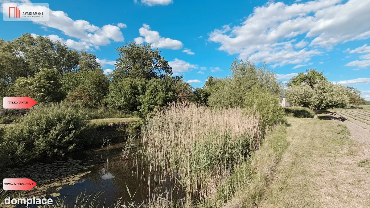 Siedlisko z działką i stawem, Trzaskowice-Stróżewo — zdjęcie 7