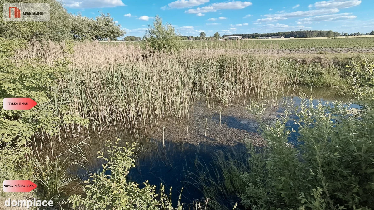Siedlisko z działką i stawem, Trzaskowice-Stróżewo — zdjęcie 8