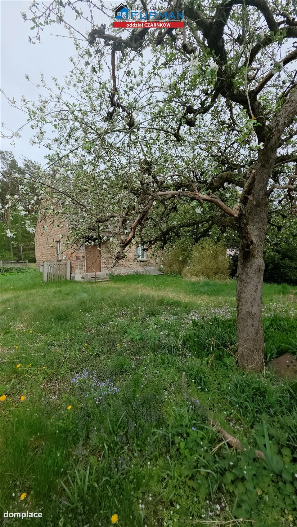 Dom — Krucz
