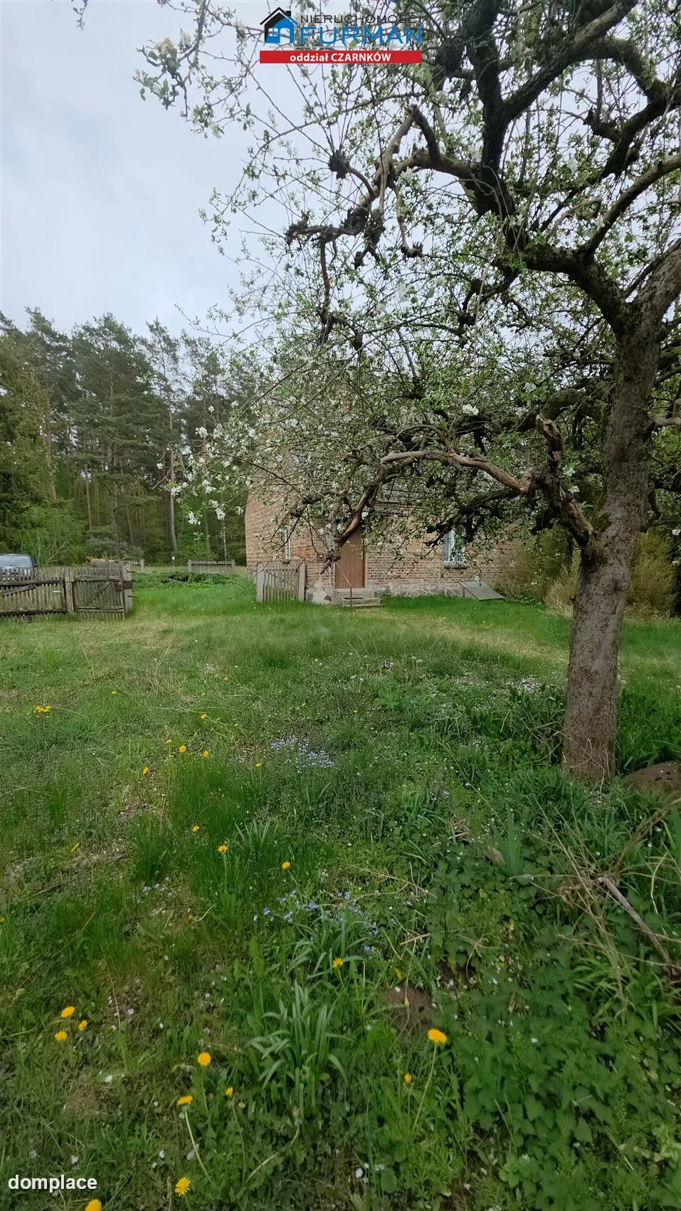 Dom — Krucz — zdjęcie 14