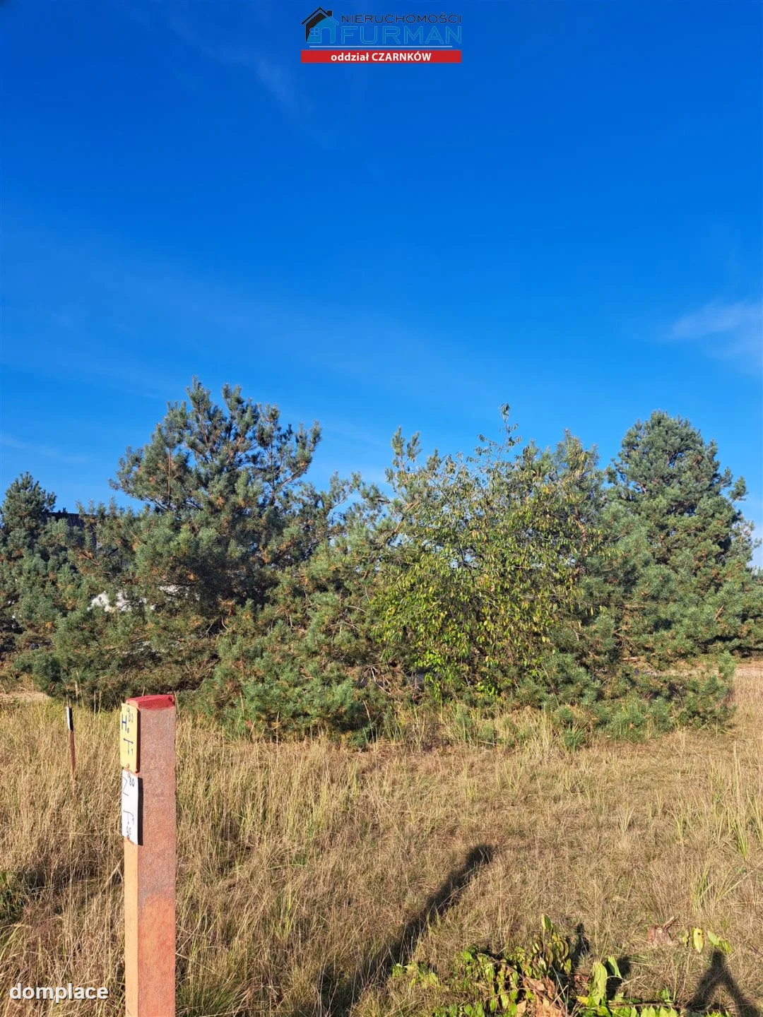 Działka — Wieleń — zdjęcie 2