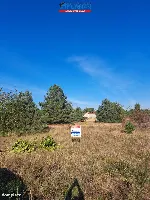 Działka — Wieleń — zdjęcie 8