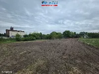 Działka — Wągrowiec — zdjęcie 12