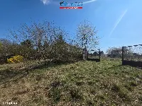 Działka — Wągrowiec — zdjęcie 7