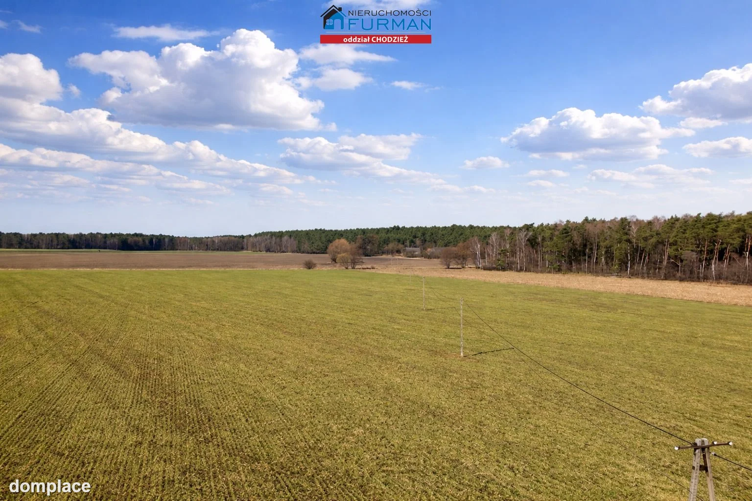 Działka — Budzyń — zdjęcie 3