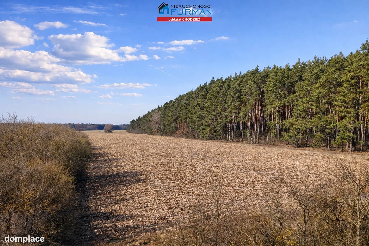 Działka — Budzyń — zdjęcie 8
