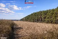 Działka — Budzyń — zdjęcie 8
