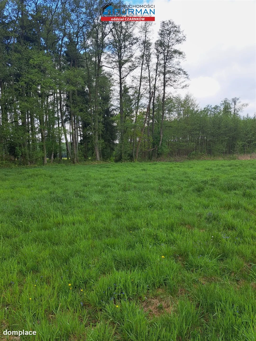 Działka — Klempicz