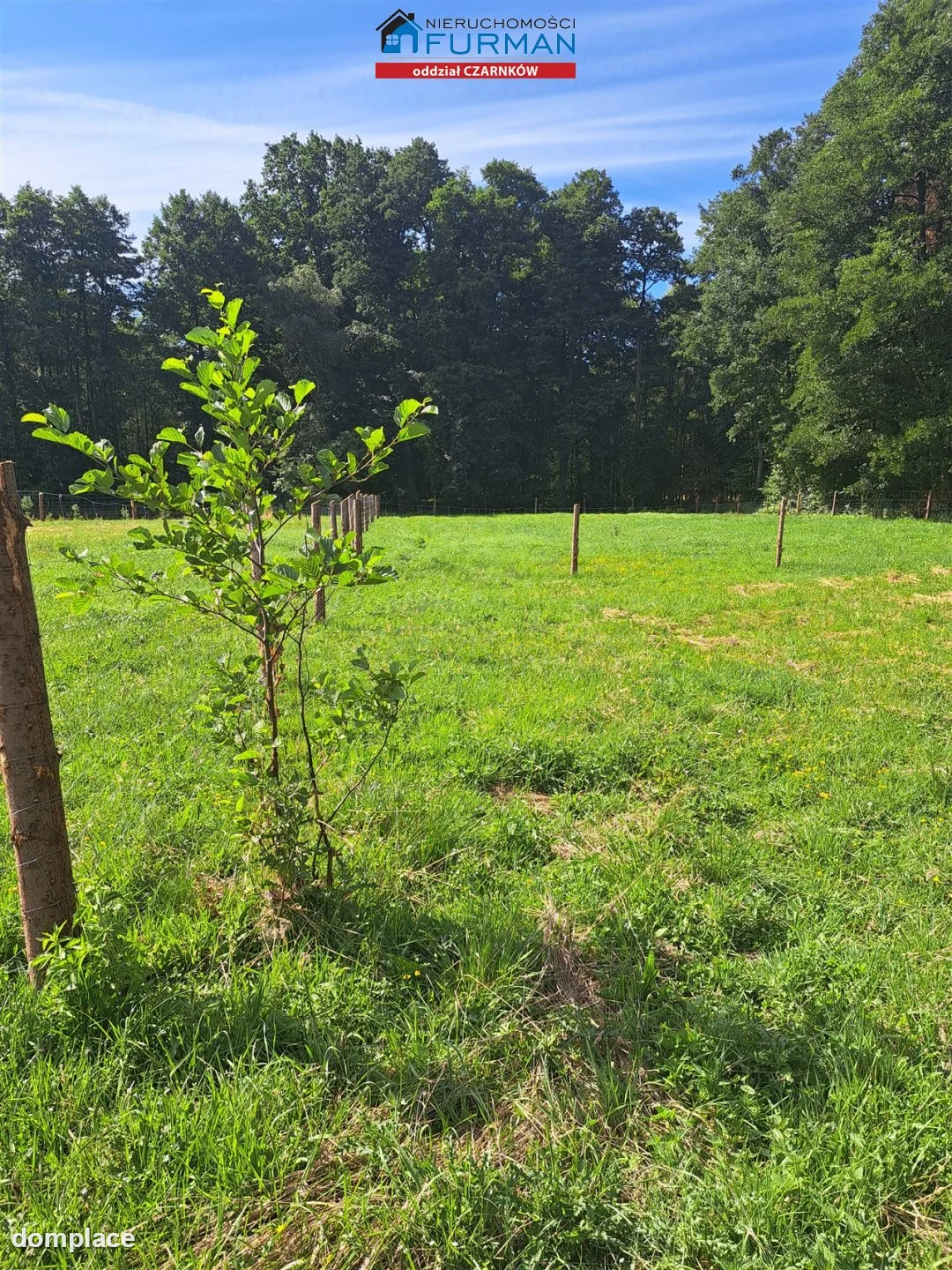 Działka — Klempicz — zdjęcie 11