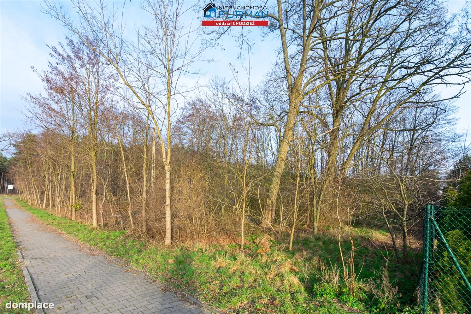 Działka — Klotyldzin — zdjęcie 2