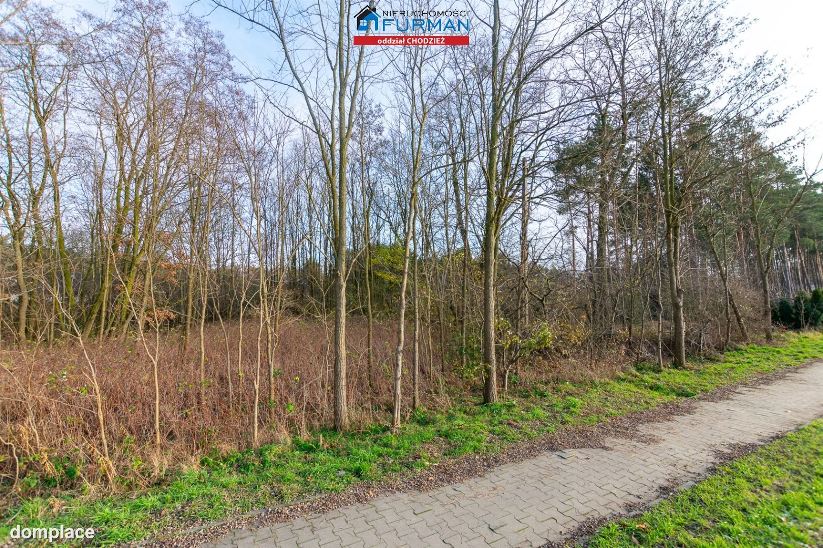 Działka — Klotyldzin — zdjęcie 4