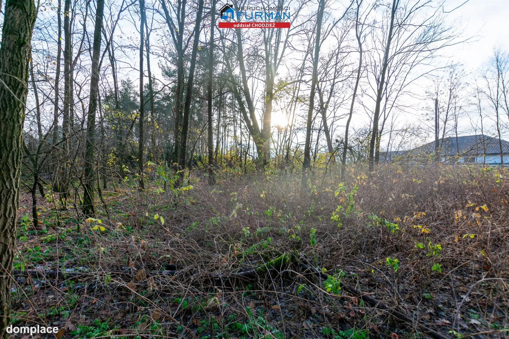 Działka — Klotyldzin — zdjęcie 5