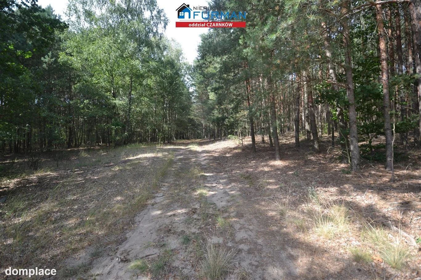 Działka — Antoniewo — zdjęcie 12