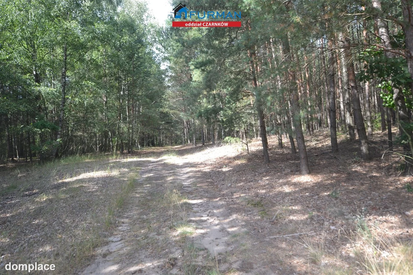 Działka — Antoniewo — zdjęcie 13
