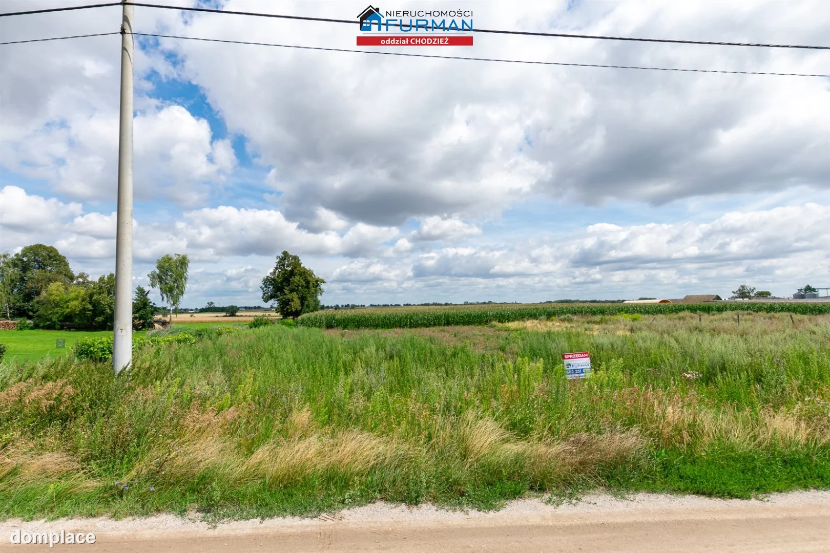 Działka — Kopaszyn — zdjęcie 3