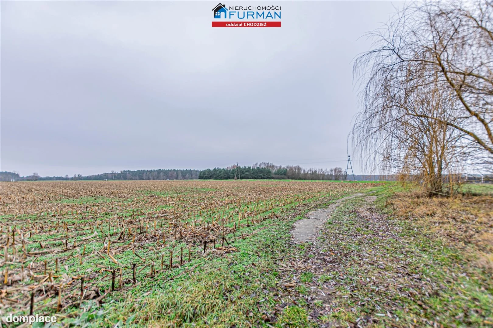 Działka — Boruchowo — zdjęcie 3