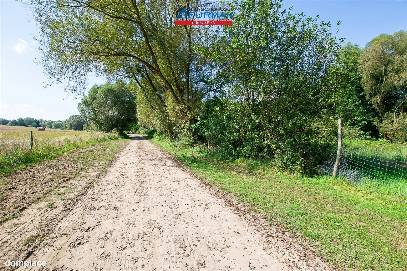 Działka — Szydłowo — zdjęcie 4