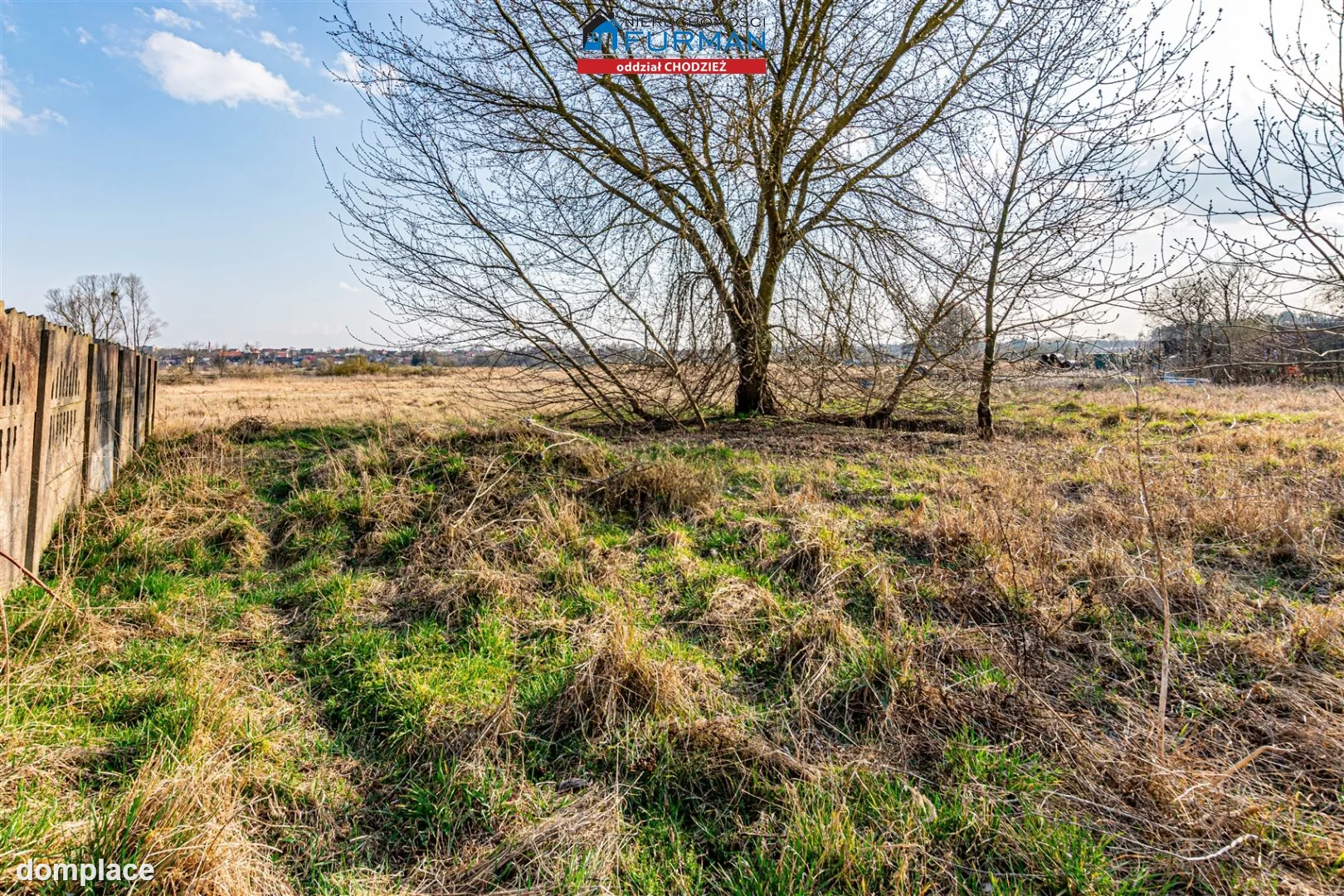 Działka — Szamocin — zdjęcie 4