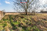 Działka — Szamocin — zdjęcie 4