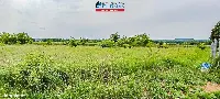 Działka — Oleśnica — zdjęcie 2