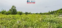 Działka — Oleśnica — zdjęcie 3