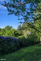 Działka — Biała, Biała — zdjęcie 2