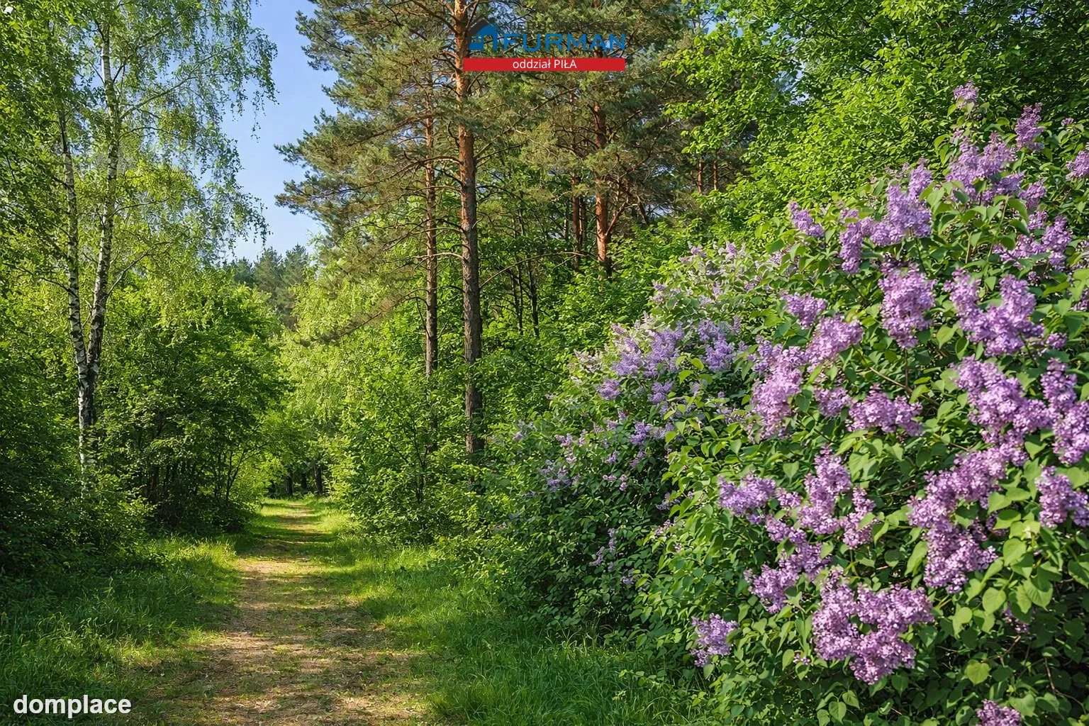 Działka — Biała, Biała — zdjęcie 4