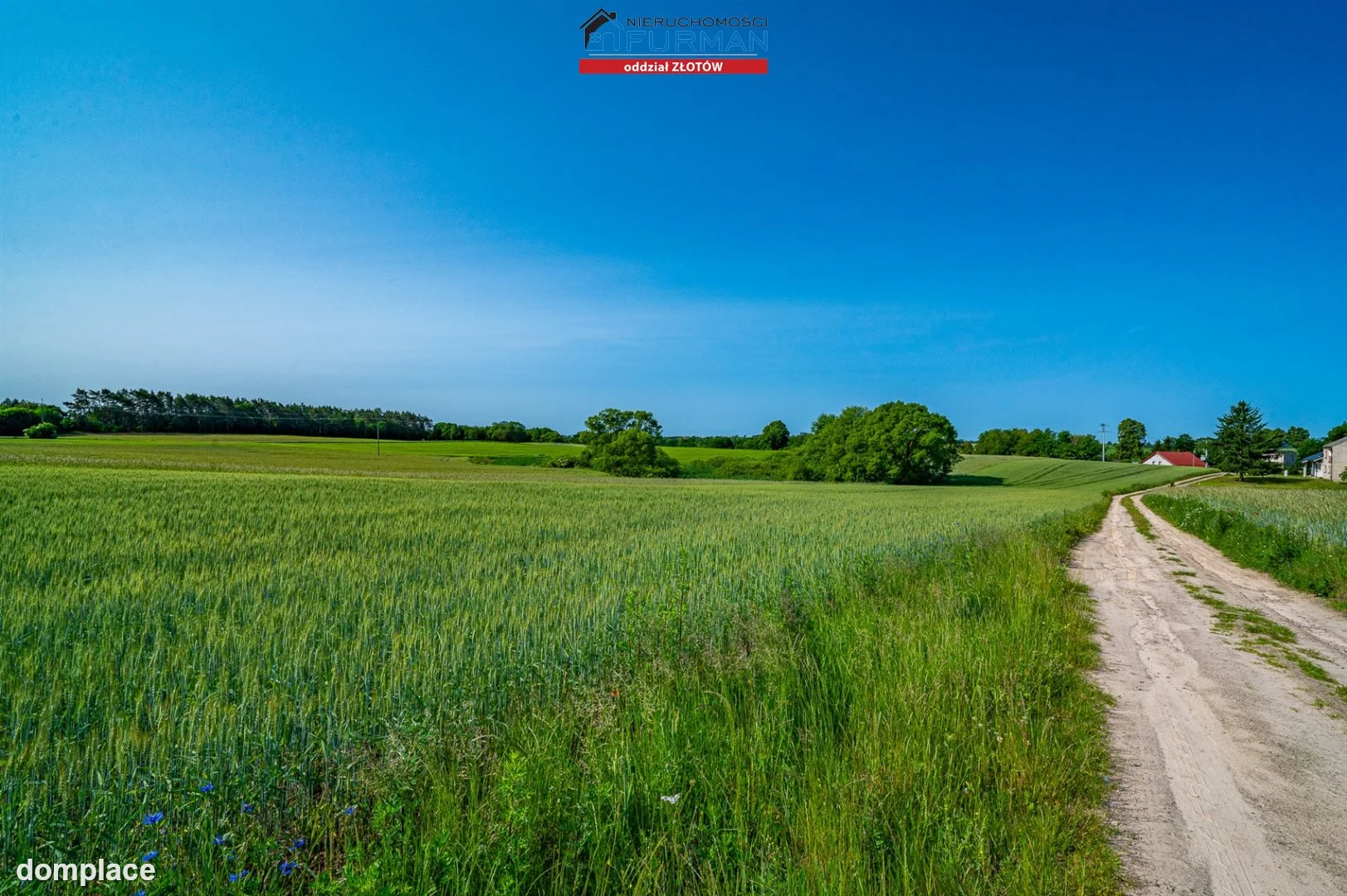 Działka — Stawnica — zdjęcie 9