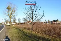 Działka — Piła, Motylewo — zdjęcie 4