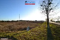 Działka — Piła, Motylewo — zdjęcie 5