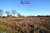 Działka — Piła, Motylewo — zdjęcie 6