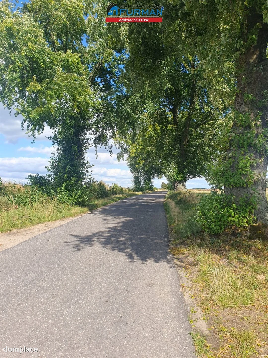 Działka — Święta — zdjęcie 3