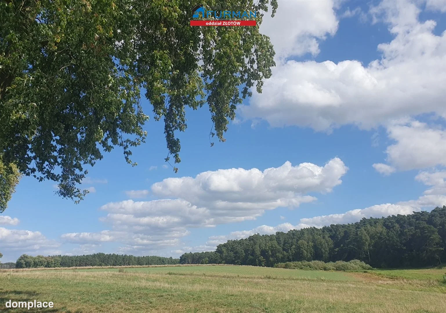 Działka — Święta — zdjęcie 9
