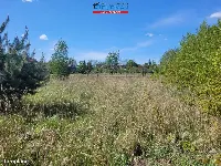 Działka — Budzyń — zdjęcie 5
