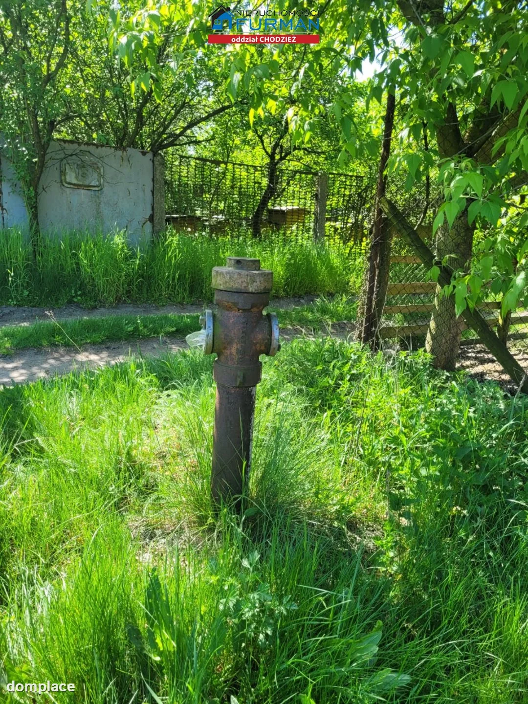 Działka — Budzyń — zdjęcie 7