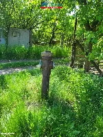 Działka — Budzyń — zdjęcie 7