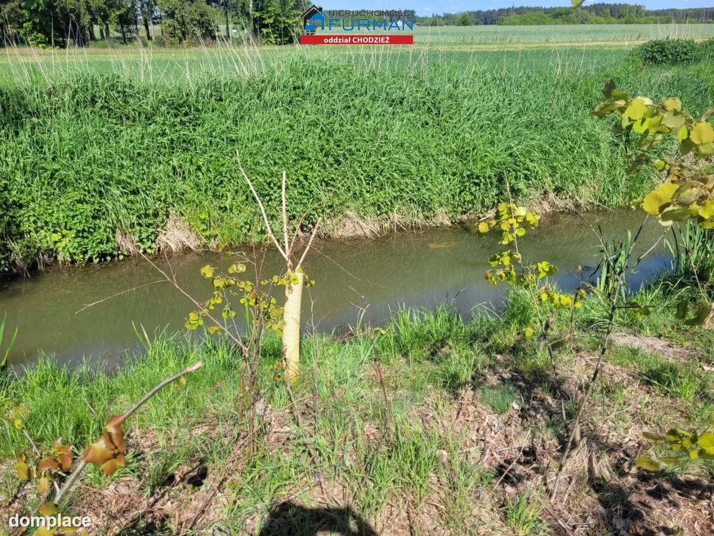 Działka — Budzyń — zdjęcie 8