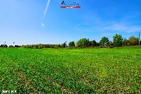 Działka — Jastrowie, Zagórze — zdjęcie 9