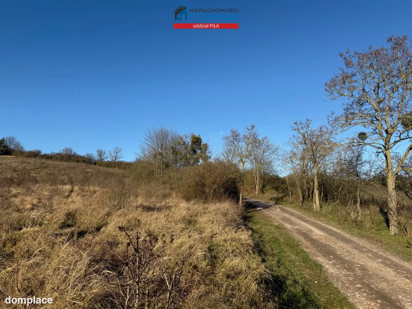 Działka — Wolsko Górne — zdjęcie 2