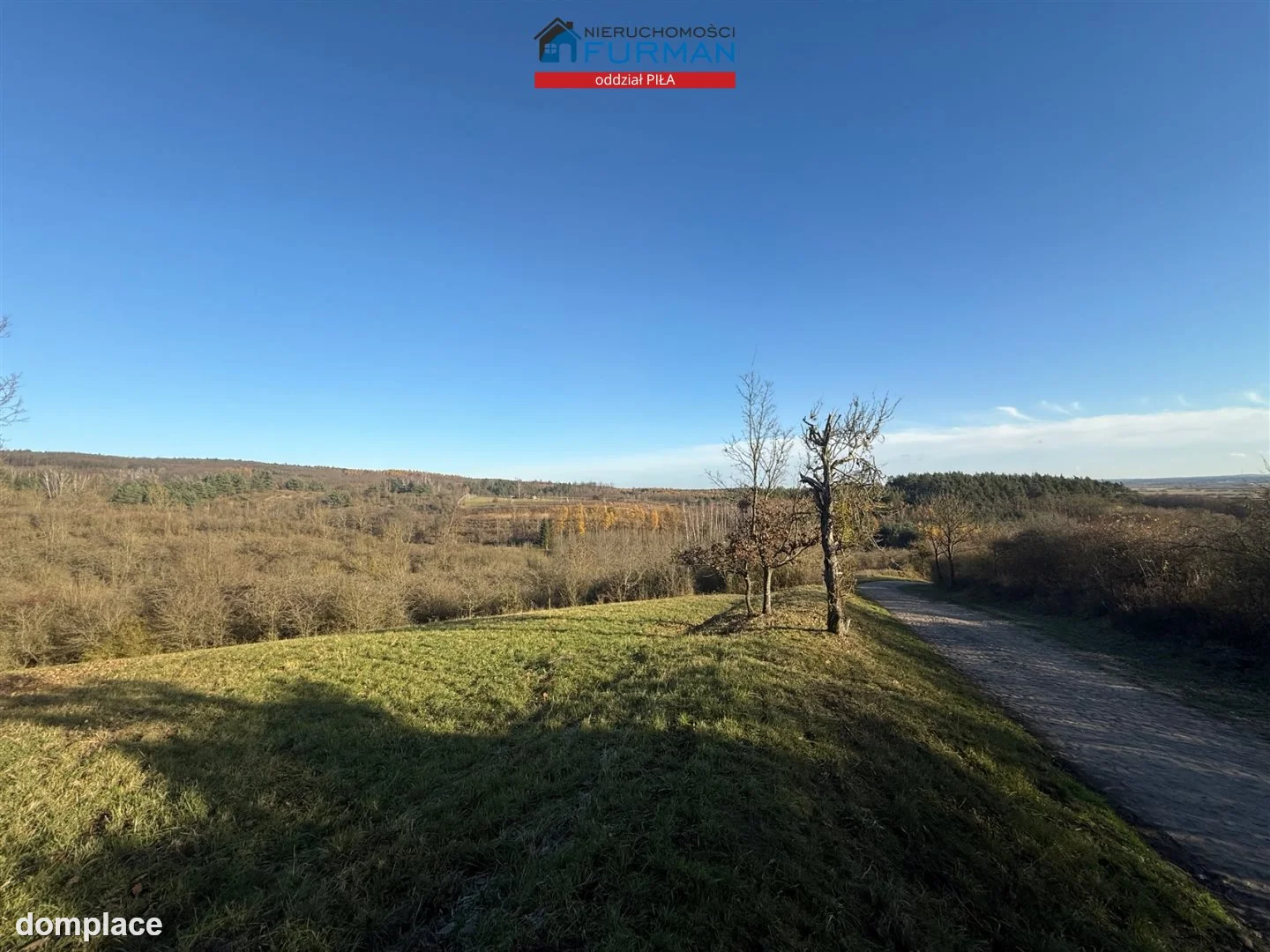 Działka — Wolsko Górne — zdjęcie 6